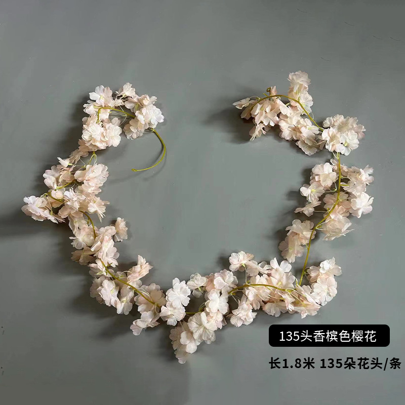 135 샴페인 벚꽃