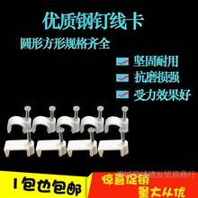 W W̶ ᔾ 늾 W  100ֻ/