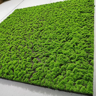 �Gɫ��ɳ�P�@ˇ�Gֲ̦�\��̦�����Ƥ΢���^�辰ֲ�������