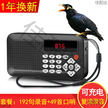 �B�ÌW���C���P�W�^�WԒ�C�˸���x�C���B�W�fԒ�����������Ӗ��
