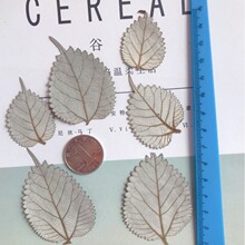 �r���~�����~�f���ֹ�Ѻ���������ĉ���Ѻ���ɻ�ֲ��̌W�˱��~Ƭ