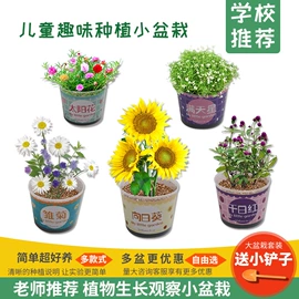 科教玩具;科学实验玩具;竹编