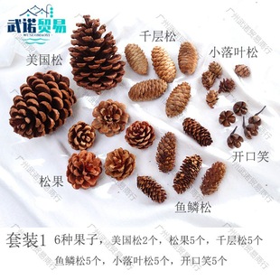 �ɹ���ɏ��ѩ�����޻��ɻ�ɭϵ���ϰ�diy�ֹ��׃��@�h������