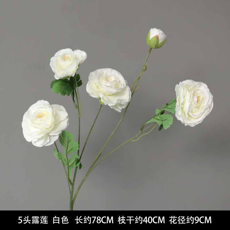 5-head dew lotus white