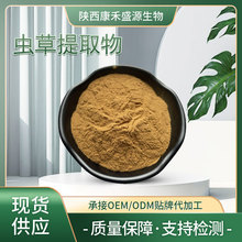 虫草提取物10:1 虫草原粉 多规格现货 量大优惠 冬虫夏草浓缩粉