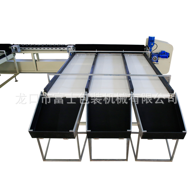 厂家打造 FS-QXDL型果品清洗打蜡分选设备操作简单ce认证