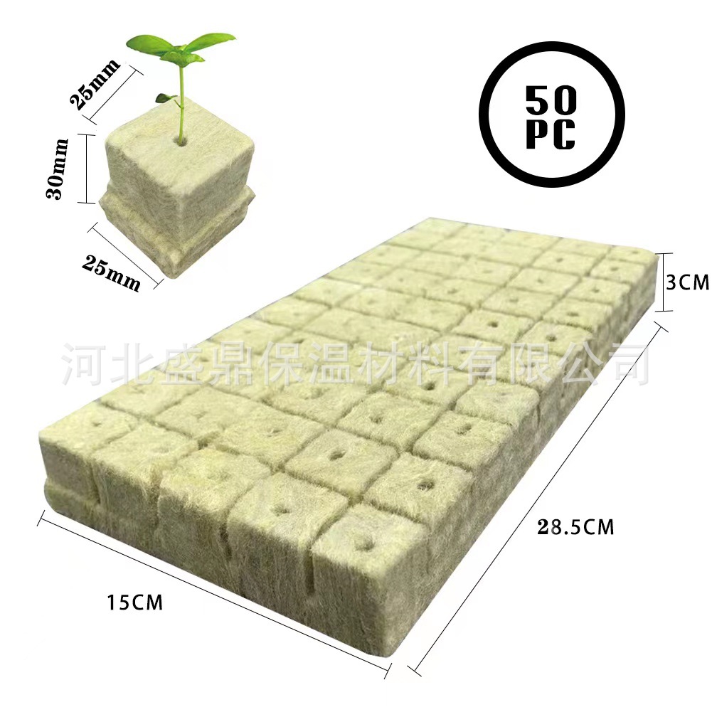 54
