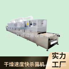 杂粮微波熟化隧道炉 青稞米烘烤干燥杀虫卵设备 附带杀菌功能