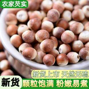 �tƤ�͌��u�^����؛�Ҝ����u�^�׾��x���|�خa��؛�V���r��С���b