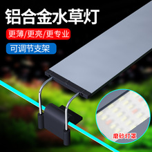 XϽLED ~ױ ˮݟ ˮled