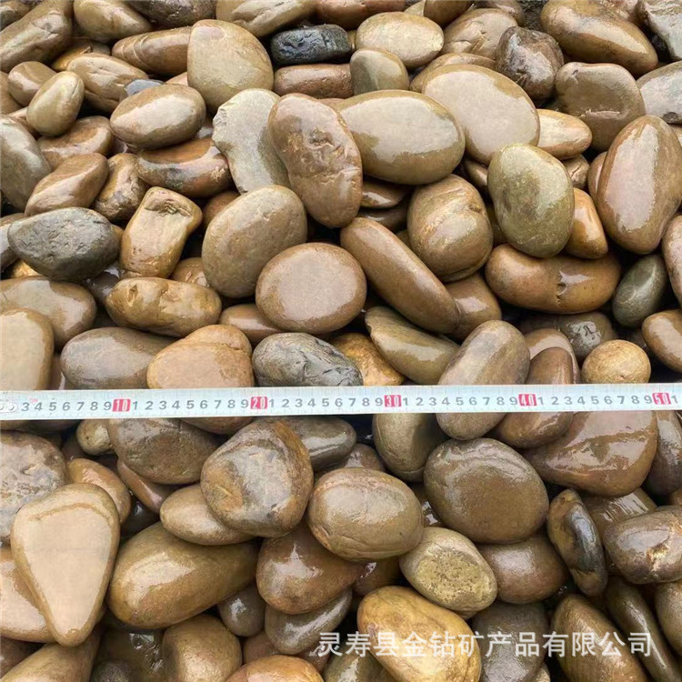 供应鹅卵石电厂变压器用5-8公分河卵石人工湖路面铺设用河卵石