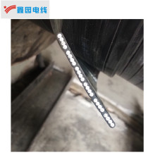 ��ȼ��ƽ��| ZR-YFFB24*1.5 �ͺ������Ϻ��S�҃r�񃞻�