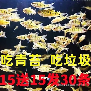 15��15�l30��ˮ�^�p�͵͜��~�Ї����~��H�l�yС?�����~���~��