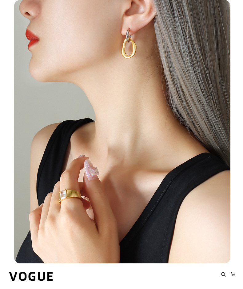 Fashion Irregular Titanium Steel Drop Earrings Stainless Steel Earrings