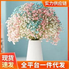 满天星干花花束小清新家摆设装饰客厅办公室摆件风干勿忘我代发