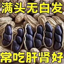 ��ϸ���������Ƥ�ڻ����ٷ���Ş�꽡����������Ƣθ�ЋD������ʳ