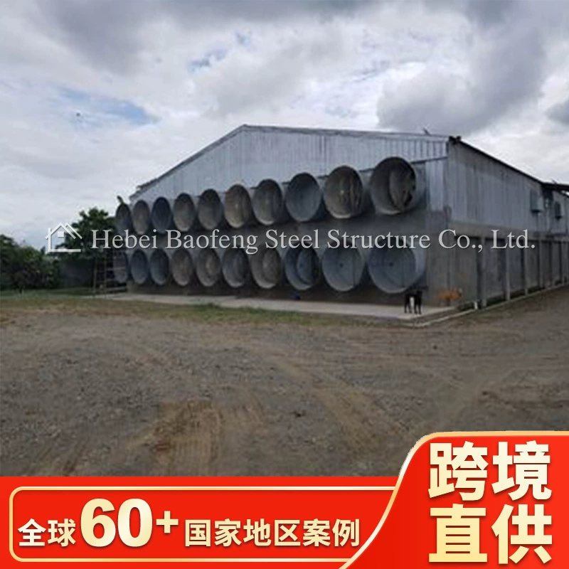 Прямые поставки от производителя, стальные конструкции для птичников и курятников, оптовые цены, специализированные птичники и курятники для птицефабрик, экспорт в Конго.