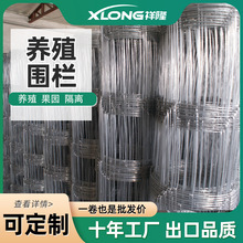 现货批发草原养殖钢丝围网 农场圈羊圈牛钢丝网镀锌牛栏网