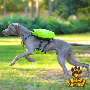 Cross-Border Best-Selling Pet Dog Outing School Bag Snack Portable Self-Backpack Medium and Large Dog Leash Harness