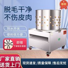 �����X݆�¿�u���Z����Óë�CÓë����ȫ�ԄӰ�ë�C���u��ë�C