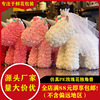 Qixi Valentine's Day hug Xiong Xingdulu to send lover gifts to confess to girlfriend simulation PE rose unicorn