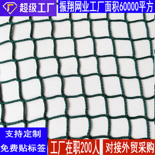 Colorful Protective Net Amusement Park Kindergarten Scenic Spot Outdoor Fence Kidsren's Climbing Net Nylon Safety Anti-Fall Net