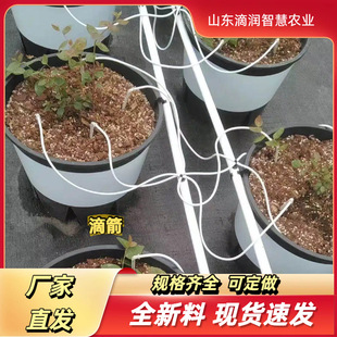 �{ݮ���^����������ι���^�μ����bһ����һ���ĺ�ɫë�ܵμ�