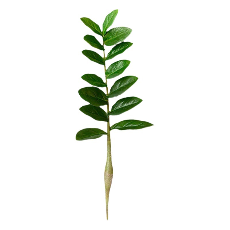 Simulación dinero hoja eucalipto pequeño árbol olla sola hoja artificial tropical verde falso árbol de simulación fortuna dinero árbol