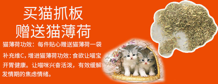 O1CN01XAybxd2Fv2JL338rf_!!2220672398941-0-cib.jpg