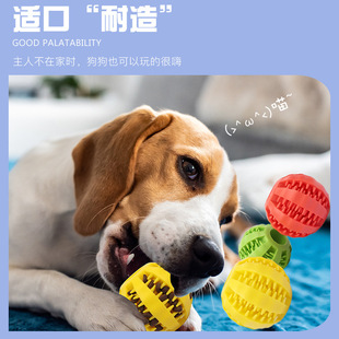 Pet toy card food alone to relieve boredom grinding teeth rubber elastic ball dog toy leakage ball bite can not be broken