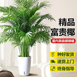 1.4-1.6�׸��FҬ�Ӵ�̖�͏d�߼����Pβ��ɢβ���k���Һ��B����ֲ