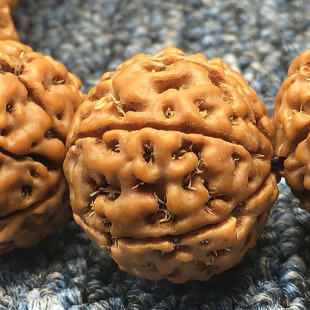 ����������ִ�ԭ���SƤ����6��7��8��9��ӡ��tƤ�M�����������