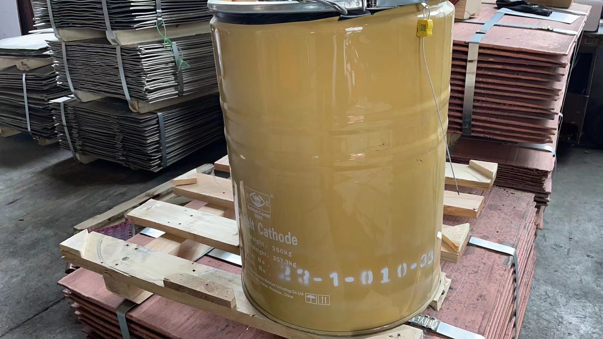 微信图片_20240421145611