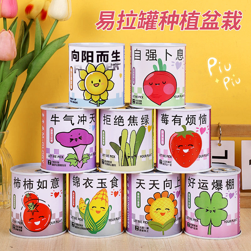 儿童种植小盆栽向日葵种孑草莓凤仙花种籽实验植物种子向日葵套装