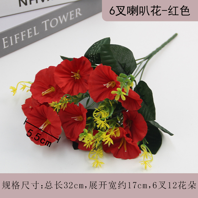 Navy blue morning glory red