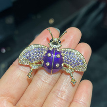迪莉雪 意大利手工紫色超闪瓢虫胸针 设计款精致奢华昆虫胸花饰品