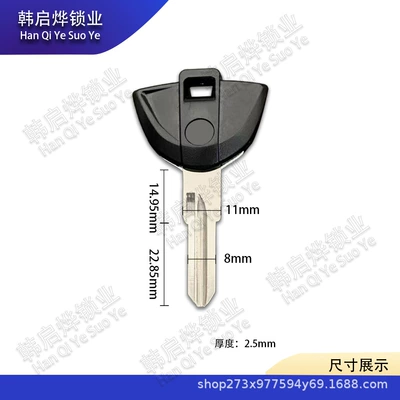 Suitable for Pedal Bmw Motorcycle Key C600 Sport C650Gt Key Sheep C1-200 Key (Motorcycle Key) - bmw-107-black-3781925mm