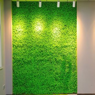 ֲGֲȼϼٲƺT^҃ȵֲﻨ