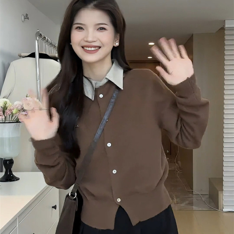 设计感气质翻领假两件毛衣针织衫女2025新款早秋长袖内搭打底上衣|undefined