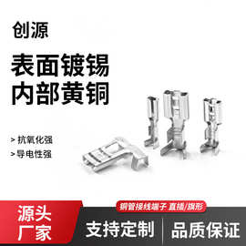 工厂直供镀锡旗形端子接线铜防氧化电子线束专用连接器镀锡端子