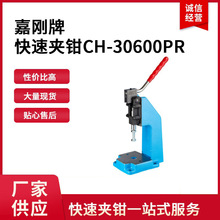 CH-30600PR�΄�clamptekС�_��CH30600PR�A�o��ch30600pr����ʽ