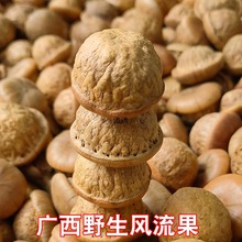 包邮 野生风流果500g石头果广西产男性滋补泡酒料茶养生食品中