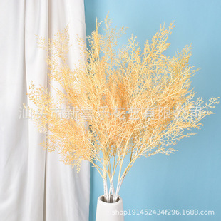 羳RdԴ^SҾGֲF˻cPβ仨滨ˇ