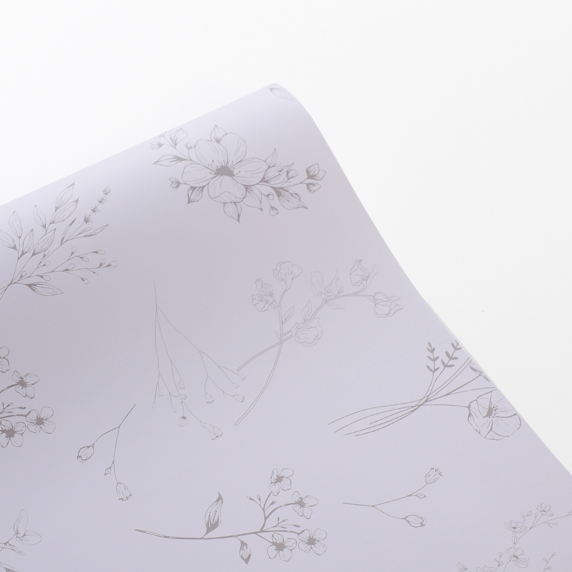 Púrpura crema; 56cm, 20 hojas