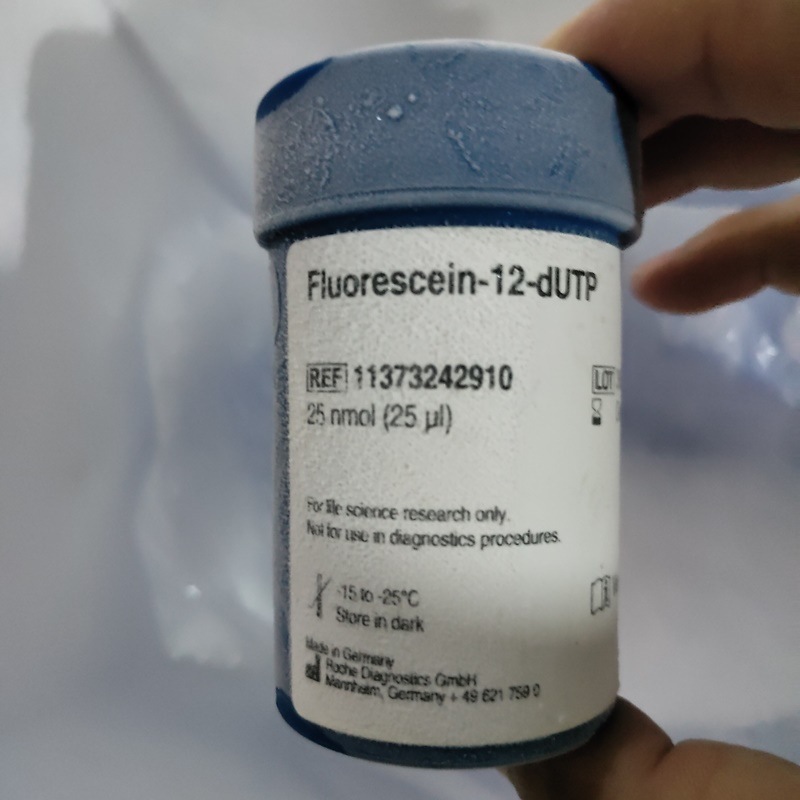 Roche罗氏11373242910荧光素-12-dUTP