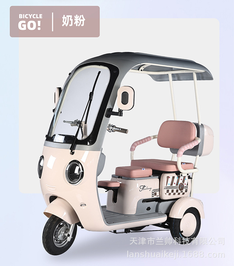 New National Standard Electric Leisure Tricycle Small Vehicle for Kids