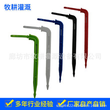 �L�ڹ�����ֱ�μ������μ���һ���ĵιࡡ���Ҵ������硡��ȹ���