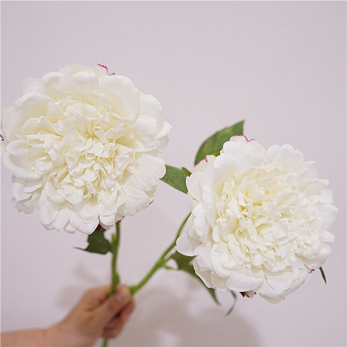 European-style artificial flower single branch hand-feeling moisturizing peony flower home decoration flower arrangement ornaments bride bouquet wedding fake flower