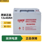 雷仕顿蓄电池NP4012 太阳能电池 12v40AH UPS不间断电源 蓄电池