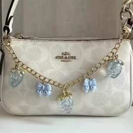 钿垚寇家金属挂件装饰手提链珍珠蝴蝶结花朵包链（全套都有）